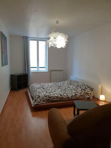 Apartamento Grand Appartement En Centre Ville