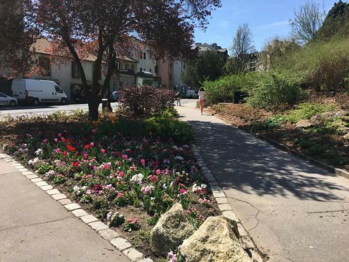 Apartamento L'appart Des Tanneurs