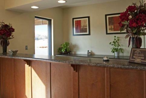Motel Americas Best Value Inn Byhalia