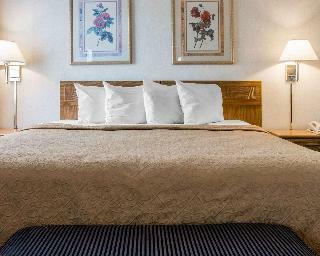 Hotel Quality Inn Hudsonville