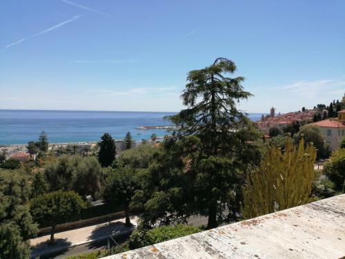 Apartamento Studio Les Palmiers