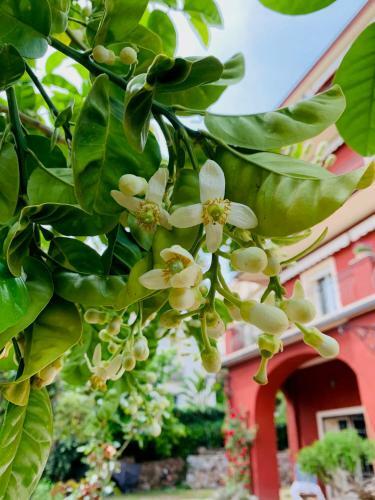 Bed & Breakfast La Fabrique � Poup�es