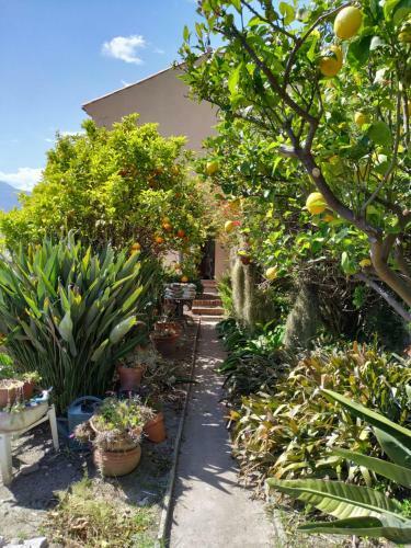 Apartamento Maison Trucchi