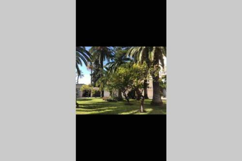 Apartamento Charmant Studio Bord de Mer
