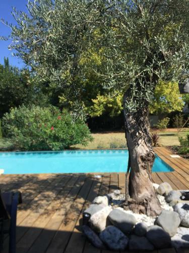 Bed & Breakfast Chambre D'h�te de La Canop�e