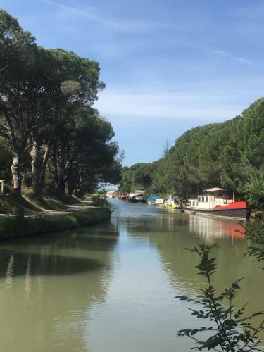 Apartamento Domaine de L?herbe Sainte
