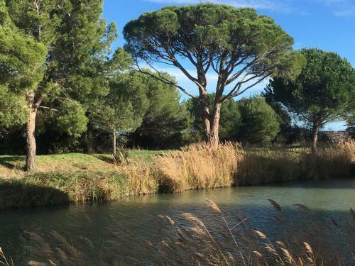 Apartamento Domaine de L?herbe Sainte