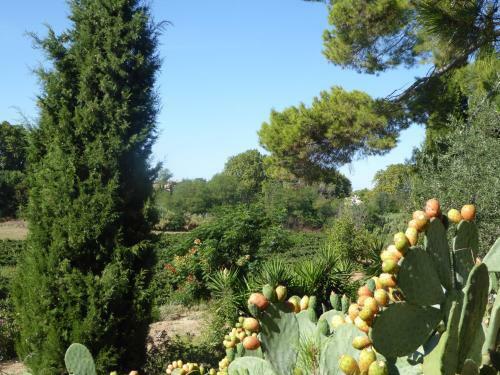 Apartamento Domaine de L?herbe Sainte
