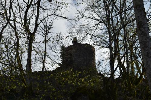 Hotel H�tel Le M�l�ze