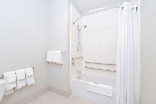 Hotel Holiday Inn Express Wixom
