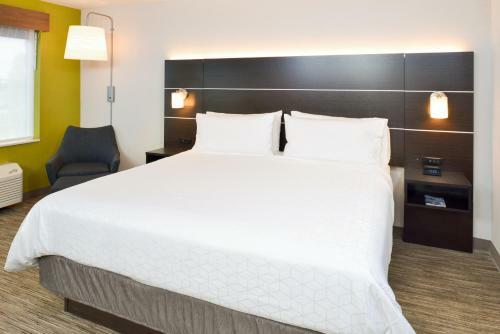 Hotel Holiday Inn Express Wixom