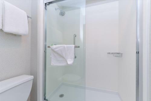 Hotel Holiday Inn Express Wixom