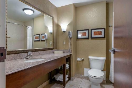 Hotel Comfort Suites Grand Rapids South