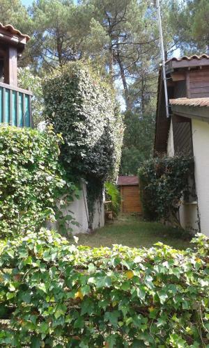 Maison Du Huchet Entre Oc�an - For�t, Vue Golf