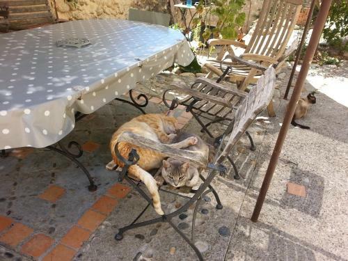 Hostal Le Petit Fabre
