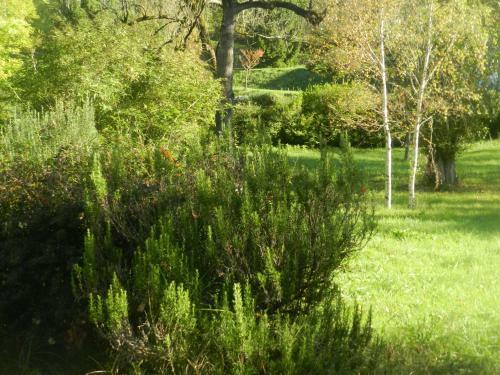 G�te Des Sapins Roses