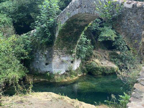 Les Lodges de Saint Cassien 2
