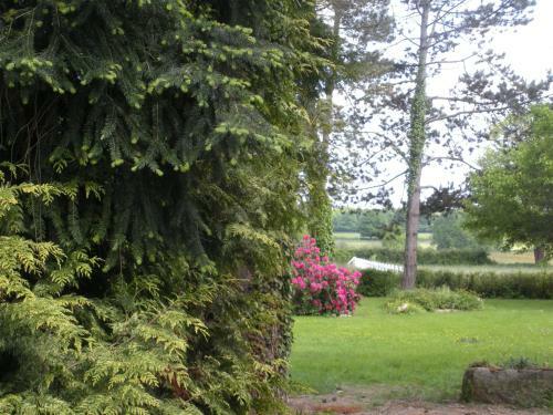 Bed & Breakfast Le Domaine Du Mijarnier
