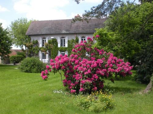 Bed & Breakfast Le Domaine Du Mijarnier
