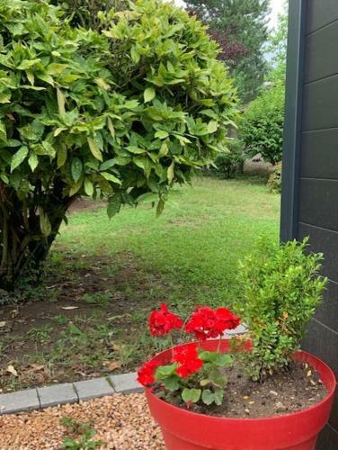 Apartamento A La Belle Etoile
