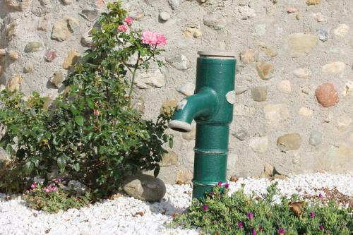 Dans Un �crin De Nature