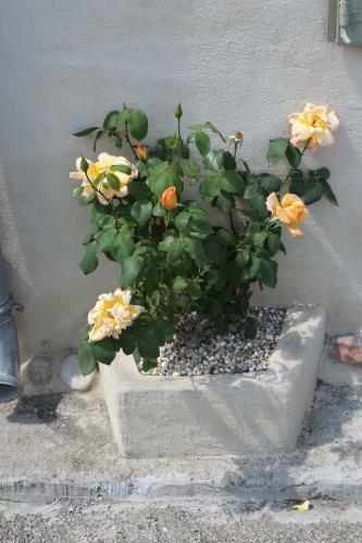 Dans Un �crin De Nature