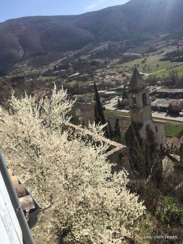 Hostal Les Magnolias