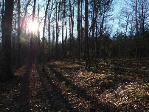 Tentrr Signature Site - The Babbling Brook