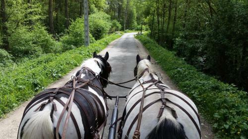 Hostal Les Chevaux de L'hippocampe