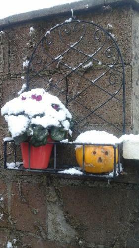 Bed & Breakfast La Maison Des Fleurs
