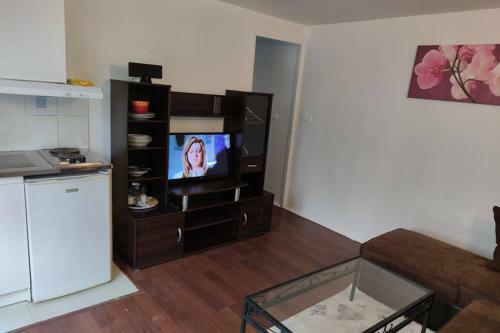 Apartamento Super Appart Ds Pavillon, �quip�, Calme (Ref: Ka0)