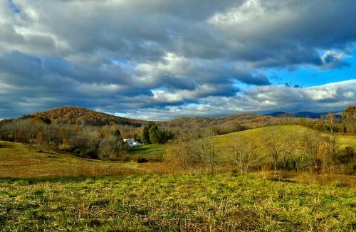 Walnut Run Farm