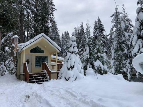 New Tiny Home Steps Away From Mt. Rainier