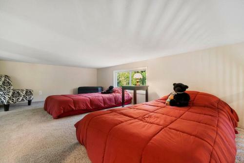 New Tiny Home Steps Away From Mt. Rainier