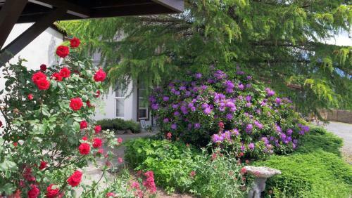 Hotel Paradise Village