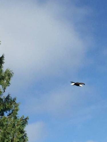 Hostal Lakeside Living Suite