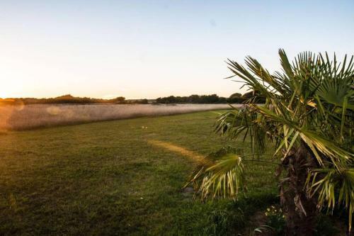 Studio Au Pied Des Dunes, 200 M de La Plage