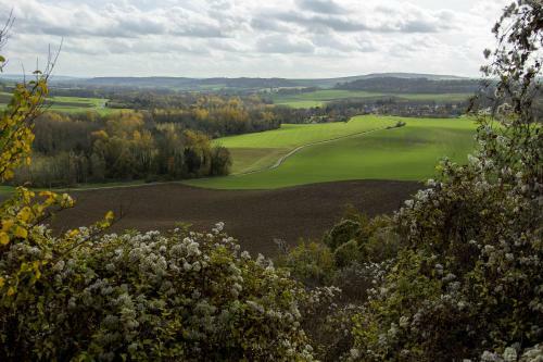 Le Lodge Des Bruy�res