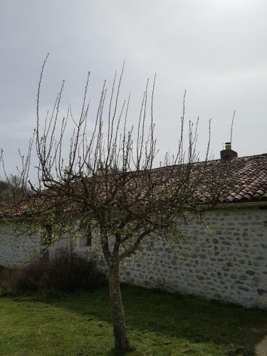 Chante Le Vent