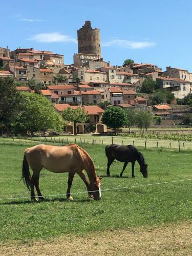 Bed & Breakfast La Charmeraie