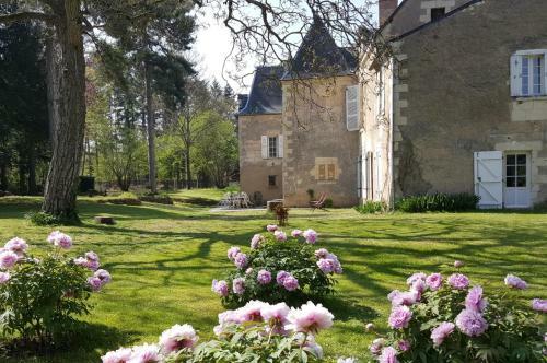 Bed & Breakfast Manoir Du Bellay
