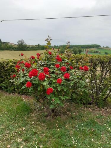Gite De La Cheneraie