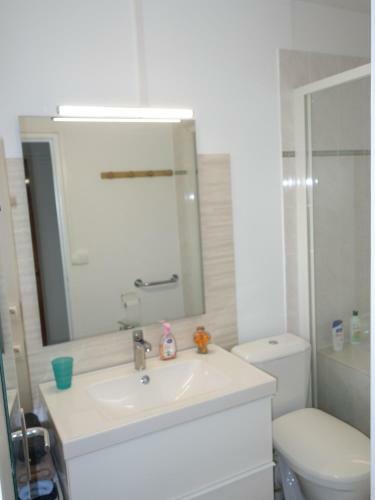 Apartamento 2 Pieces Proche Beauval Et Ch�teaux