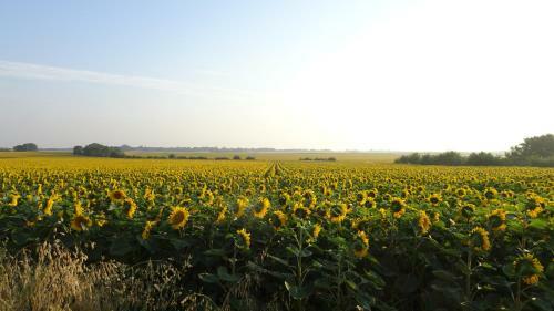 Bed & Breakfast Campagne Oc�an