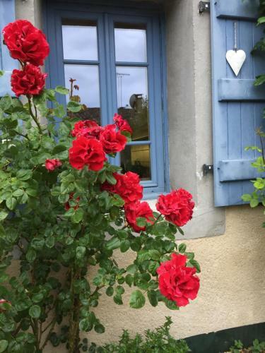 Bed & Breakfast Le P�lerin