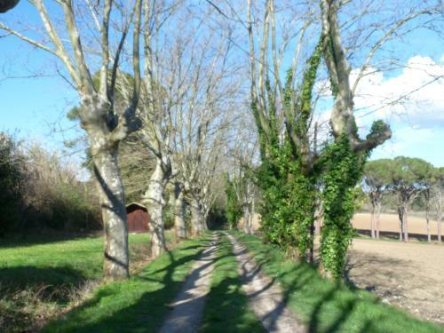 Hostal Chateau La Bouriette