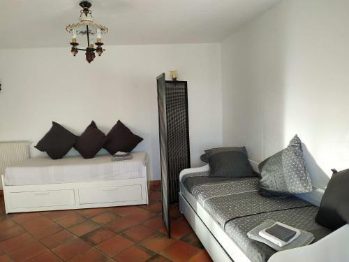 Apartamento Rez-de-villa Mougins
