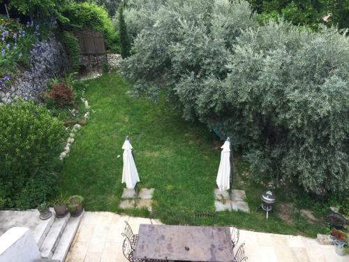 Bed & Breakfast Babayaga