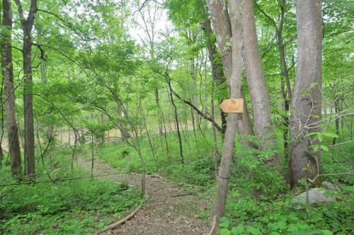 Chesnutt Cabin On The Cacapon River