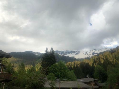 Chalet Chardon